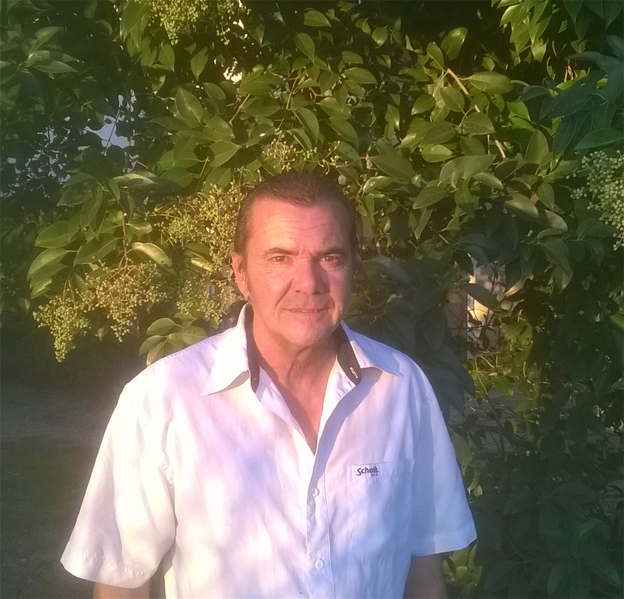 Photo 830910